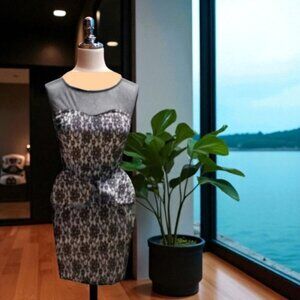 Sweet Storm Sleeveless Peplum Dress